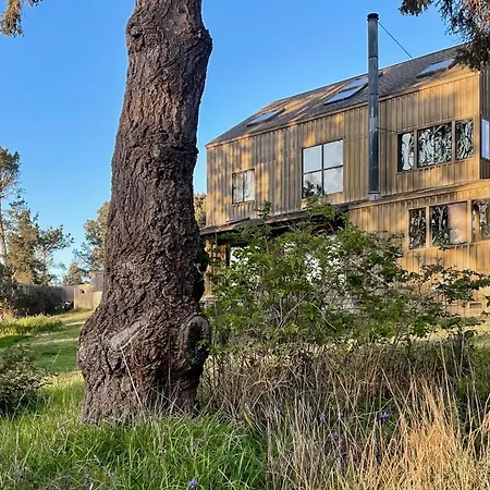 Ocean Pines Lodge